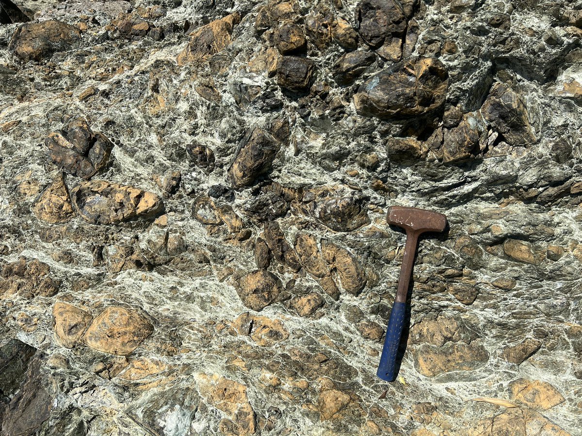 deep_sample's tweet photo. Serpentinite blocks in sheared serpentinite matrix: Yakuno ophiolite

夜久野オフィオライトの強く変形した蛇紋岩の中の蛇紋岩ブロックをじっくり見極める https://t.co/dkNNq4IBbZ