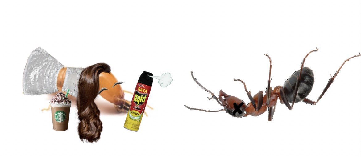 Herroyaltermite's tweet photo. Yes your royal termite is in the battle field! Ants, try to run up on me and you’ll end up like your bestie here, xoxo🥰💋 https://t.co/egfLIZnWwT