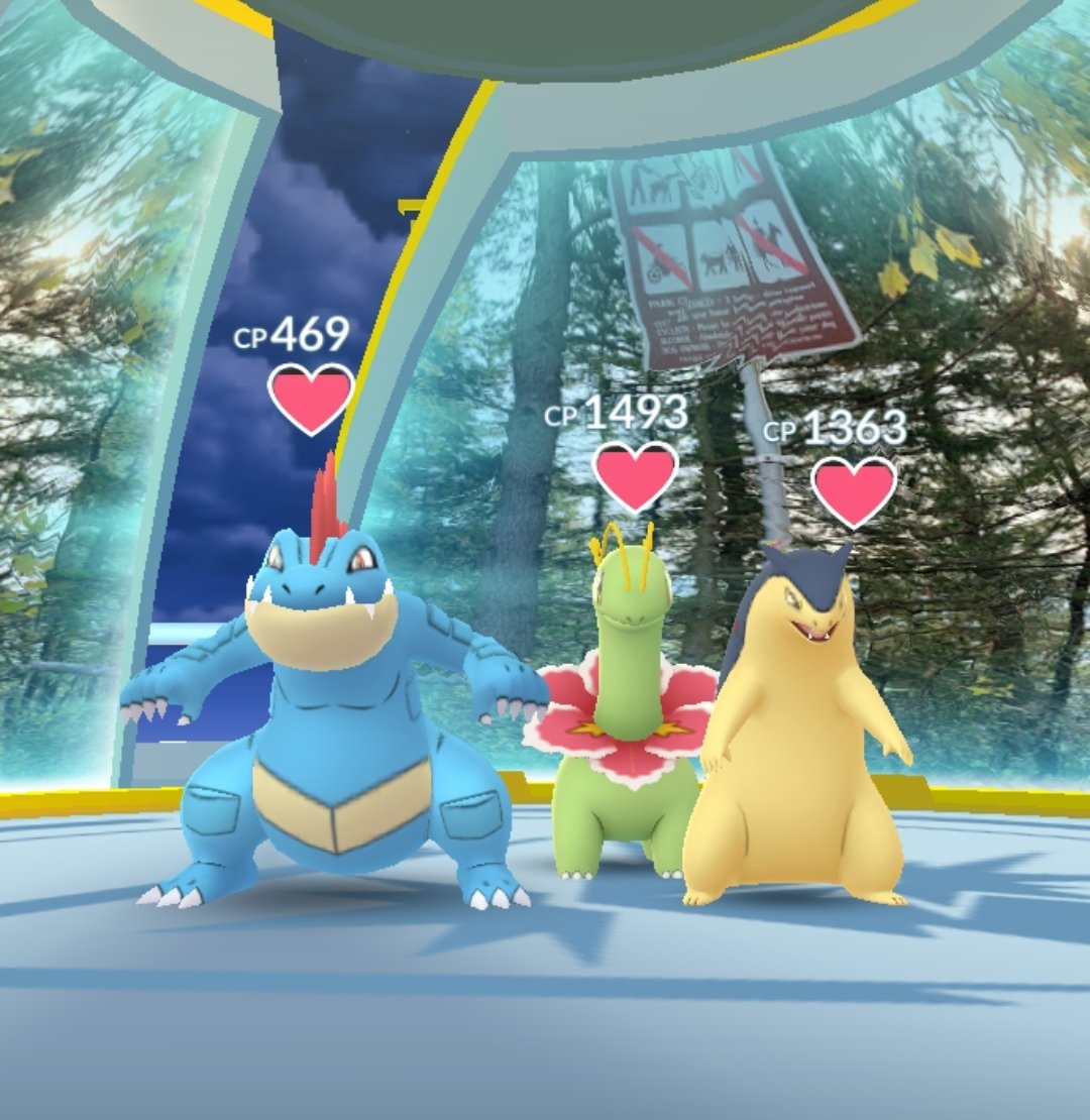 Mrs_Jaybird's tweet photo. When the family takes over a gym with the final evolution of the starter Pokémon https://t.co/t95bzPxhsI
