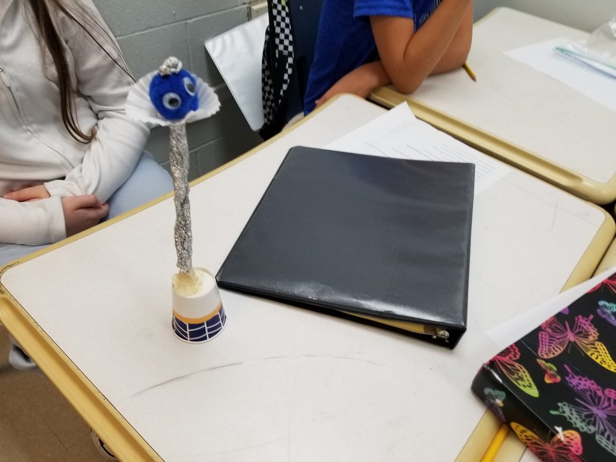 Sandy Coleman tweet media