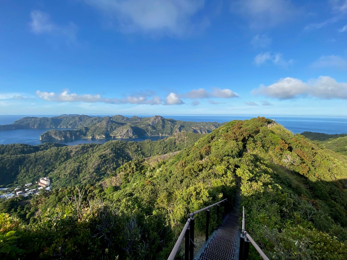 ogasawarashicho's tweet photo. 【自然情報】最近の小笠原は涼しくなってきて、登山客も増えてきたよ。小笠原の山登りのいいところは、海を感じながら山を歩けること！絶景の中、固有種がたくさん生息する小笠原で山登りも楽しもうヽ(･∀･)ﾉ ♪<父島レンジャー>
#小笠原 #都レンジャー #絶景　#旭山　#山登り　#秋 https://t.co/kOiG8VJR3m