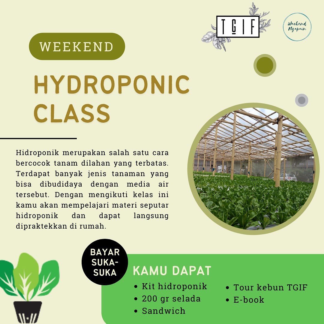 sobatmagang_id's tweet photo. ποΈ Bayar suka-suka
Kamu akan dapat:
β’ Kit hidroponik
β’ Selada 200 gr utk dibuat Sandwich
β’ New skill & networking
β’ E-book
Kuota terbatas β οΈ 6 org/kelas
Registrasi skrg:
https://t.co/XKHm85EFgB
#weekendNgapain #kelasHidroponik #HydroponicClass #MagangID #infoJkt #JalanJalan https://t.co/5tIulczpOZ