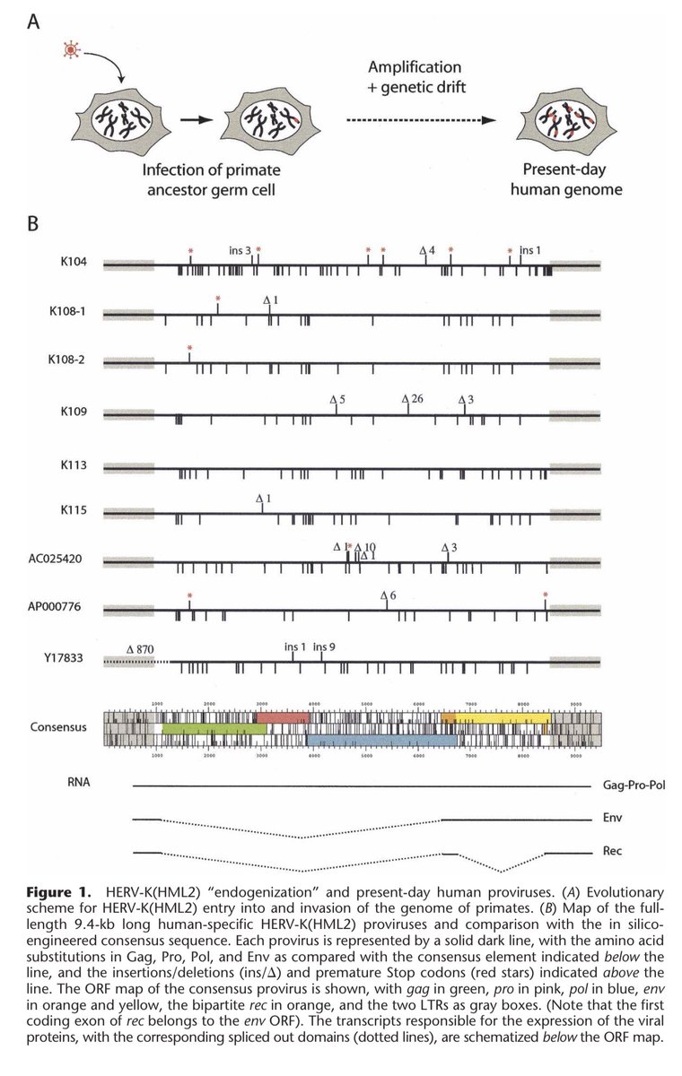 Ethan Mollick tweet media