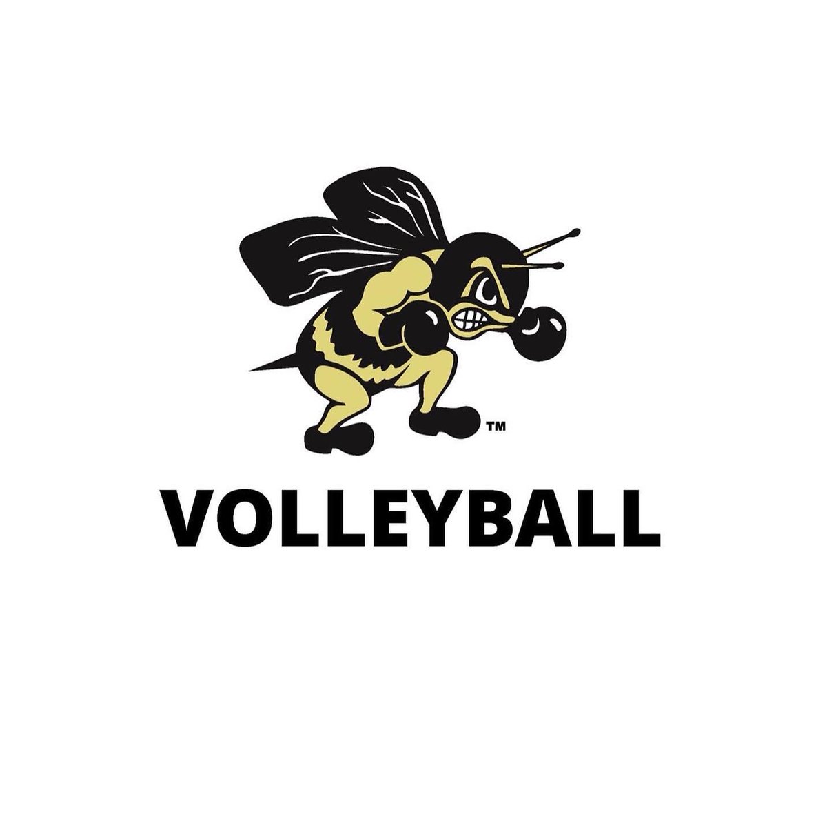 PHSVarsityVball's tweet photo. 🐝🏐 BACK TO BACK NLL CHAMPS! 🐝🏐 Thank you fans for your support tonight in the win over Northview! https://t.co/JSbWMlunt5