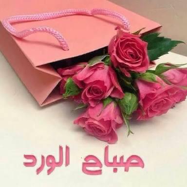 TotaZayd's tweet photo. @x0a_6 https://t.co/cwjGexNTf8