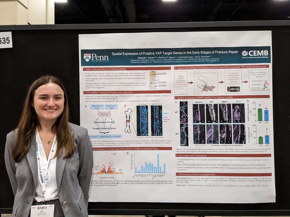 CEMB (@cemb_stc) on Twitter photo Wonderful to see all the #mechanobiology research at #BMES2022 from <a href="/CEMB_STC/">CEMB</a> members and alumni! Can't wait for more tomorrow! <a href="/ellietanner614/">Ellie Tanner</a> <a href="/seth_ack/">Seth Ack</a> <a href="/RyanCLocke/">Ryan C. Locke</a> Wonderful to see all the #mechanobiology research at #BMES2022 from <a href="/CEMB_STC/">CEMB</a> members and alumni! Can't wait for more tomorrow! <a href="/ellietanner614/">Ellie Tanner</a> <a href="/seth_ack/">Seth Ack</a> <a href="/RyanCLocke/">Ryan C. Locke</a>