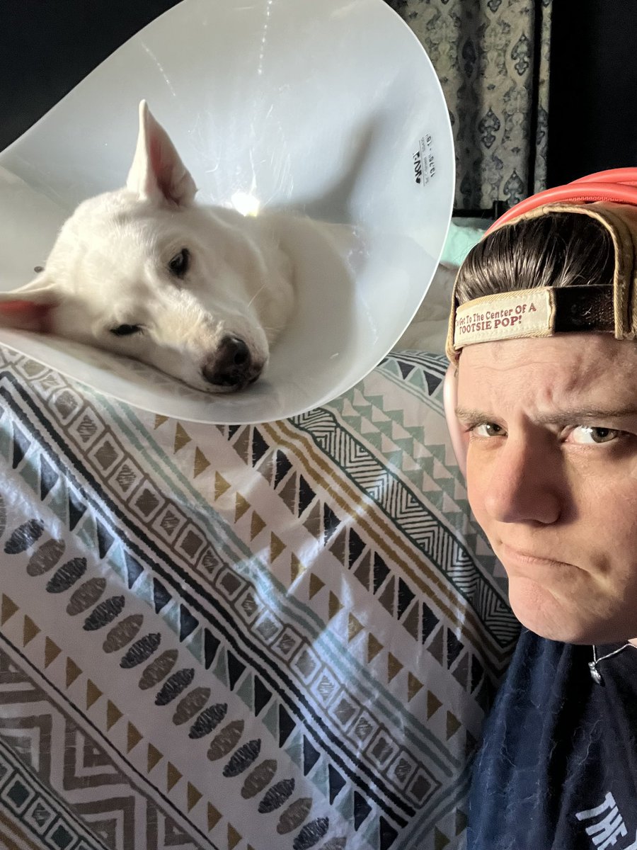 Asand101423's tweet photo. Moon is not happy about this cone but he loves that he could have it off when he laid next to mom to sleep. #MoonMoon #Husky #HeHatesTheCone #PoorBuddy https://t.co/YgIGw7wXou