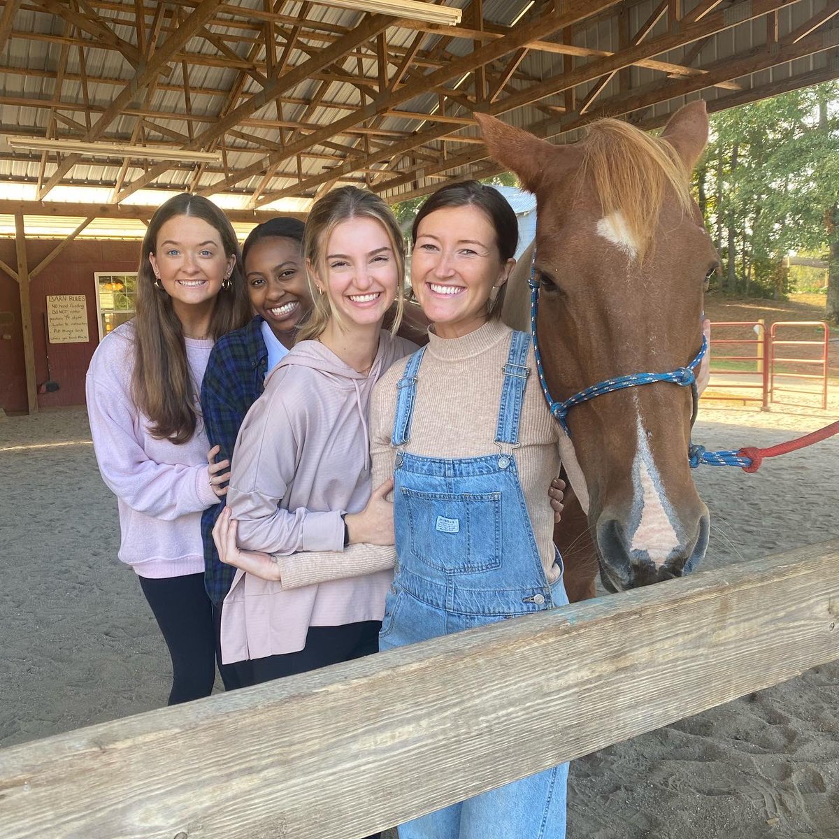 Clemson_Nurse's tweet photo. Ever done art therapy? The most common answer is yes. But have you ever done art therapy on a horse?๐ด Probably not, but the students sure did!
Visit the link to learn more. #reinsoflife #equinetherapy #clemsonnursing #cunursing https://t.co/RyTe45Uks6 https://t.co/7gmJcSklUh