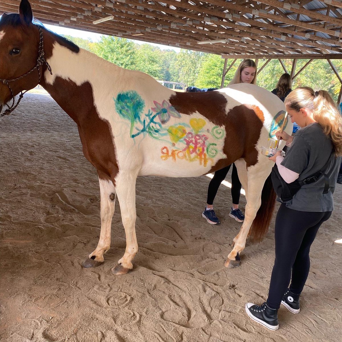 Clemson_Nurse's tweet photo. Ever done art therapy? The most common answer is yes. But have you ever done art therapy on a horse?๐ด Probably not, but the students sure did!
Visit the link to learn more. #reinsoflife #equinetherapy #clemsonnursing #cunursing https://t.co/RyTe45Uks6 https://t.co/7gmJcSklUh