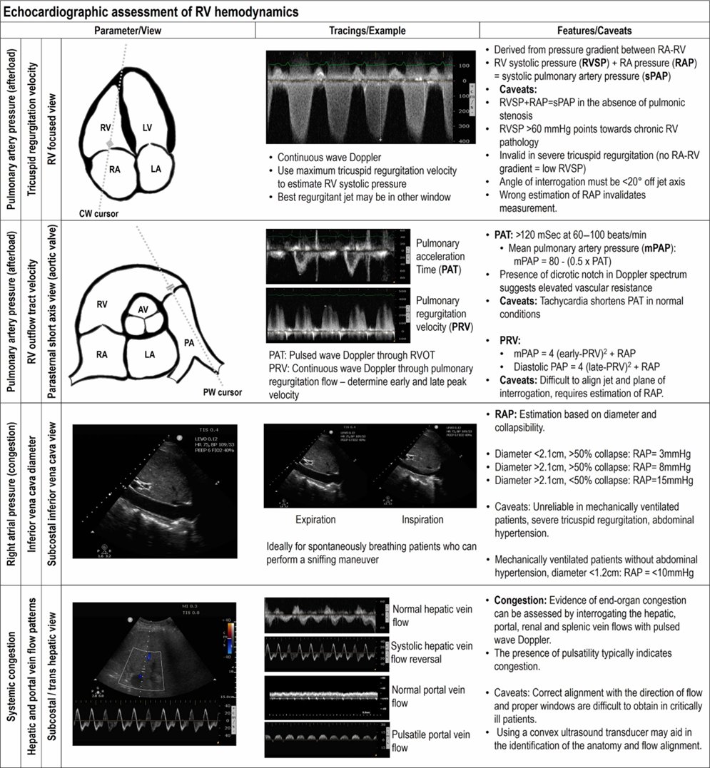 NephroPOCUS tweet media