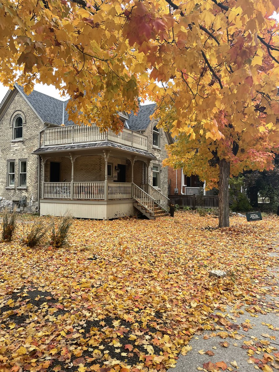 Davis Neable tweet media