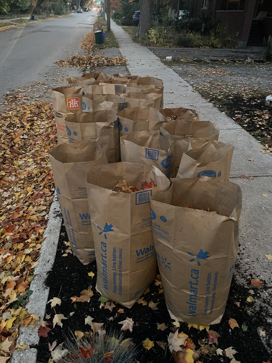 Davis Neable tweet media