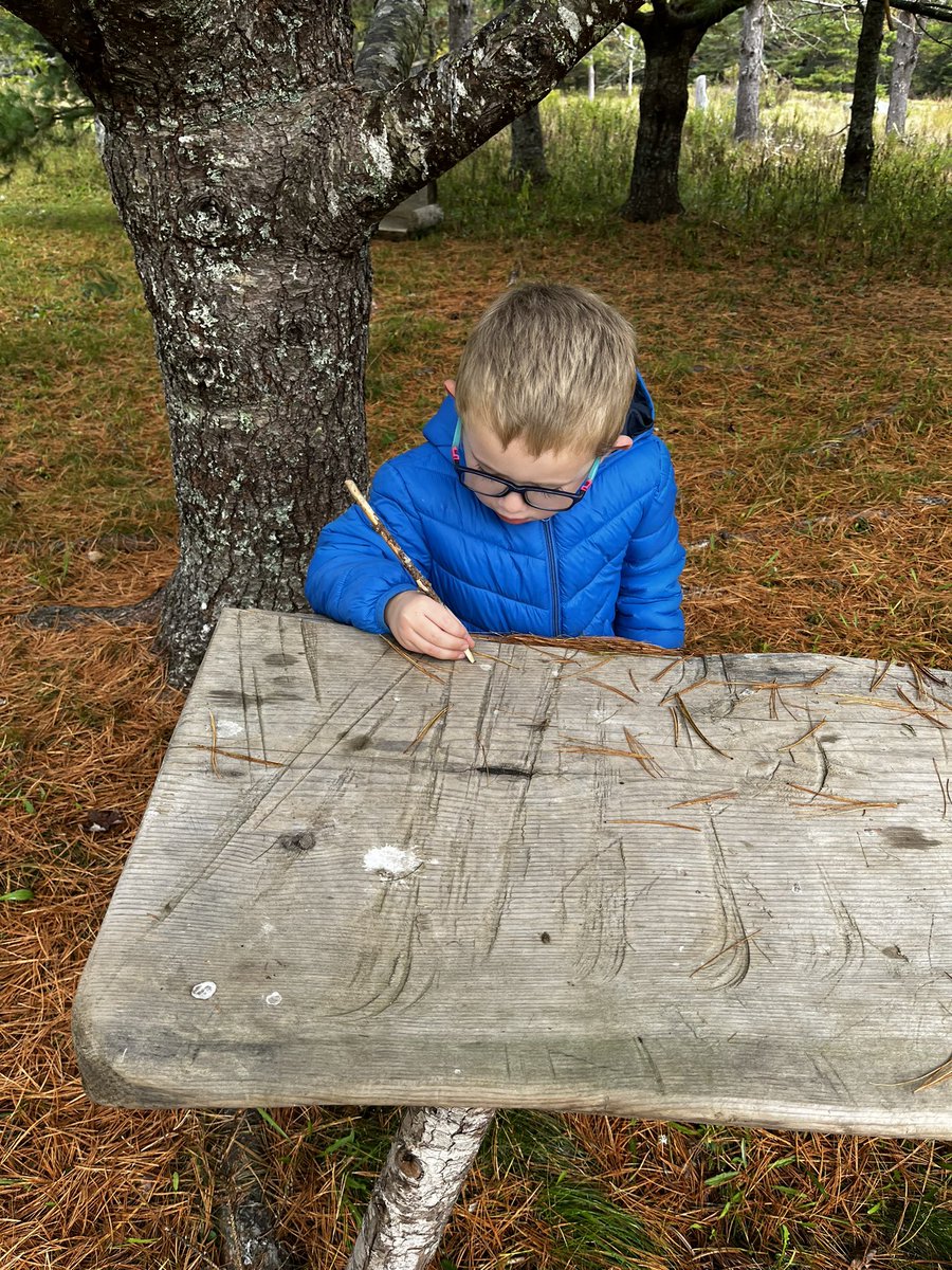 MvecP's tweet photo. Some interesting happenings today at Natures Play Space. So happy it’s open again. @HRCE_NS @nseducation https://t.co/sGoYCpuPFZ