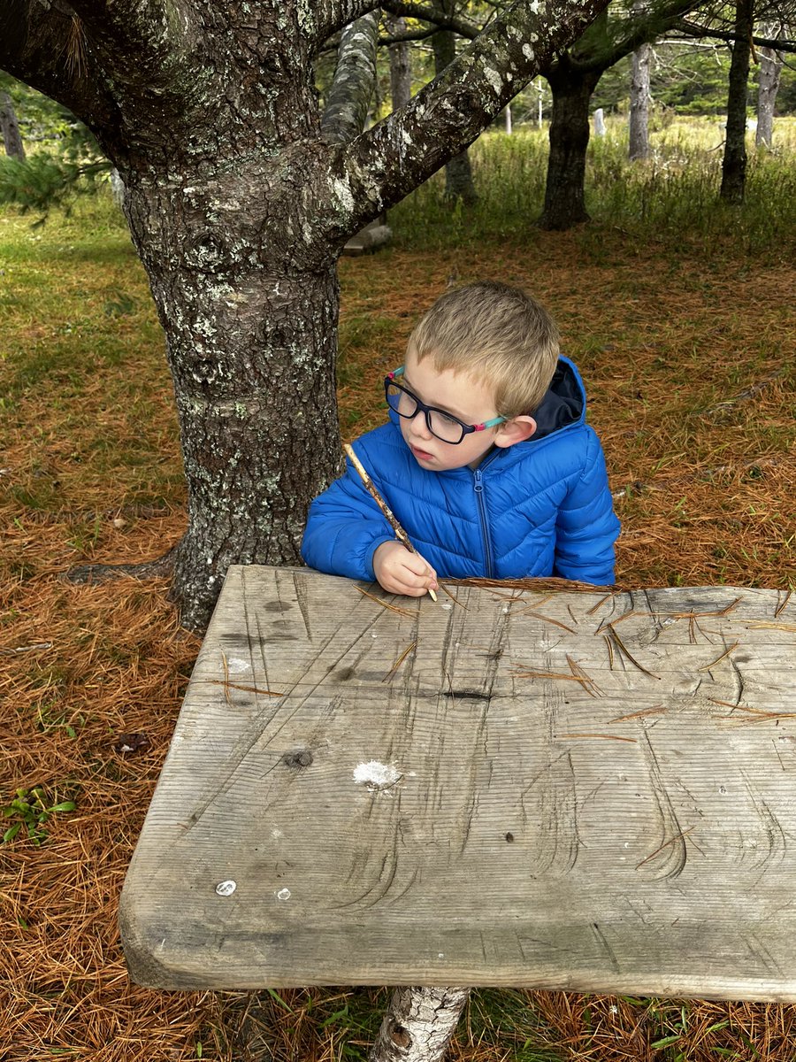 MvecP's tweet photo. Some interesting happenings today at Natures Play Space. So happy it’s open again. @HRCE_NS @nseducation https://t.co/sGoYCpuPFZ