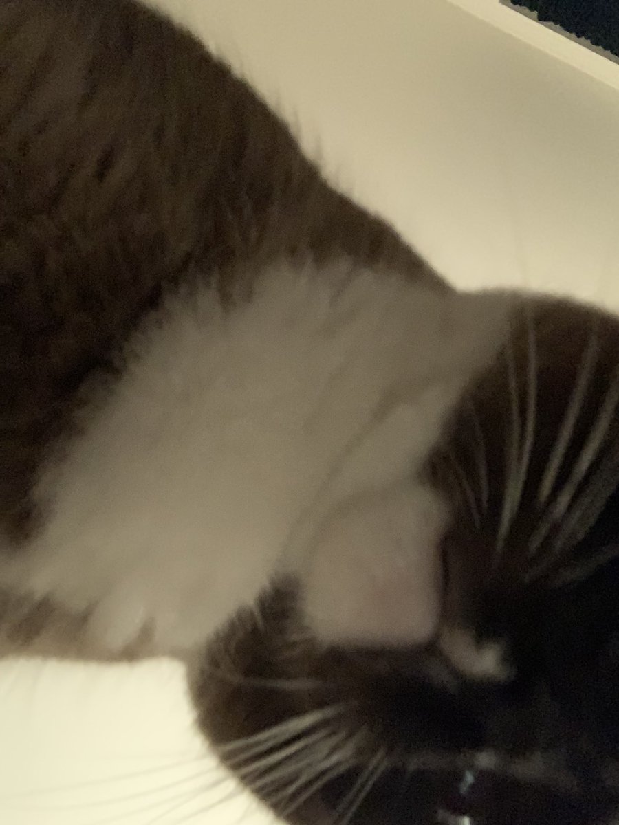 Alicia Adamczyk tweet media