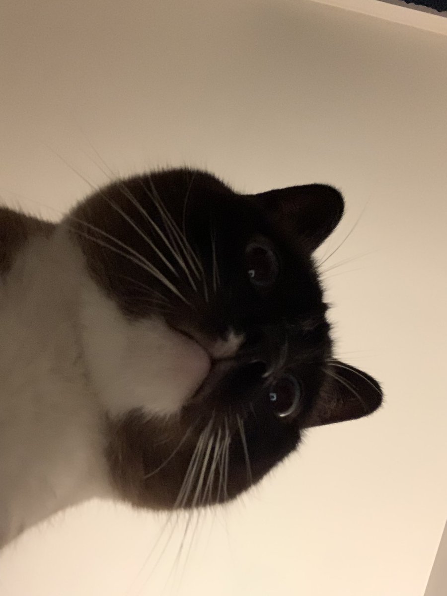 Alicia Adamczyk tweet media