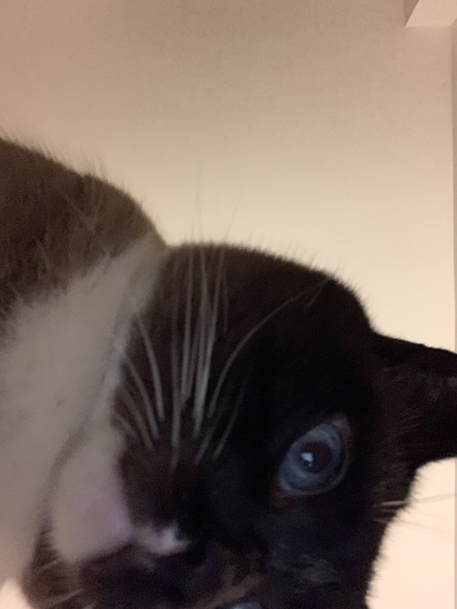 Alicia Adamczyk tweet media