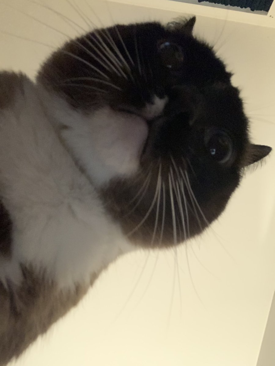 Alicia Adamczyk tweet media