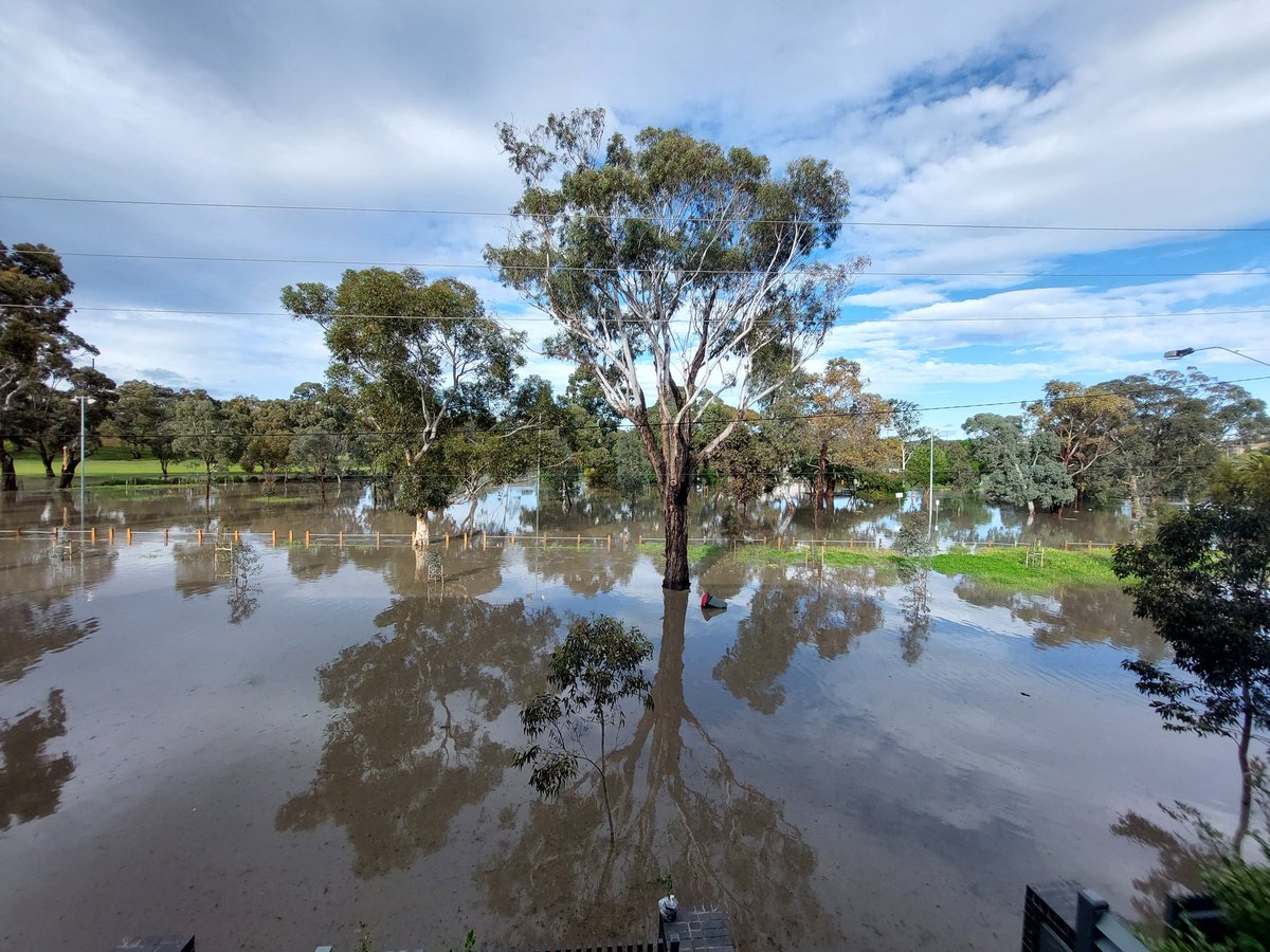 CaitlinM314's tweet photo. Woke up to a river outside my house. This is the Maribyrnong at a moderate flood level. Everyone on the street is safe and dry but slightly shocked at how quickly the street can flood #vicfloods https://t.co/GSmWDLpuO3