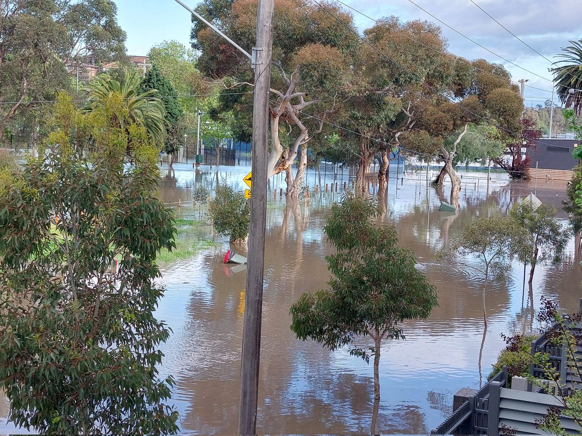 CaitlinM314's tweet photo. Woke up to a river outside my house. This is the Maribyrnong at a moderate flood level. Everyone on the street is safe and dry but slightly shocked at how quickly the street can flood #vicfloods https://t.co/GSmWDLpuO3