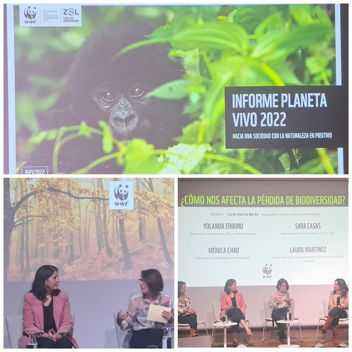 #IPV2022 Presentación de <a href="/WWFespana/">WWF España 🐼</a> de su último informe. Haciendo coincidir muchas voces y la necesidad de actuar YA. Porque nos va la salud en ello. <a href="/Yerburu/">Yolanda Erburu</a> comparte visión #Onehealth de <a href="/sanitas/">Sanitas</a>.