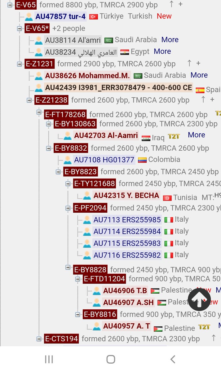 ☪️ E-V65 البحار tweet media