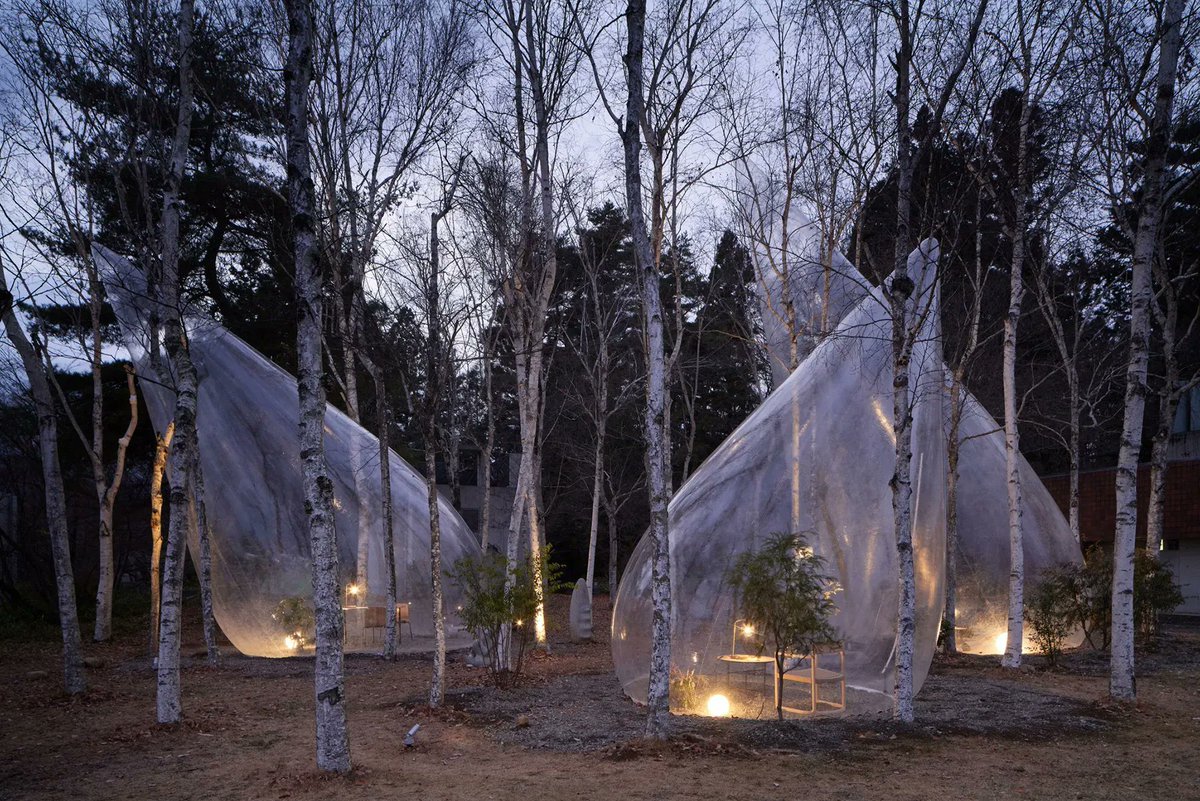 designboom's tweet image. yuko nagayama's transparent teardrop-shaped tents dot a tranquil forest in japan
designboom.com/architecture/y…
