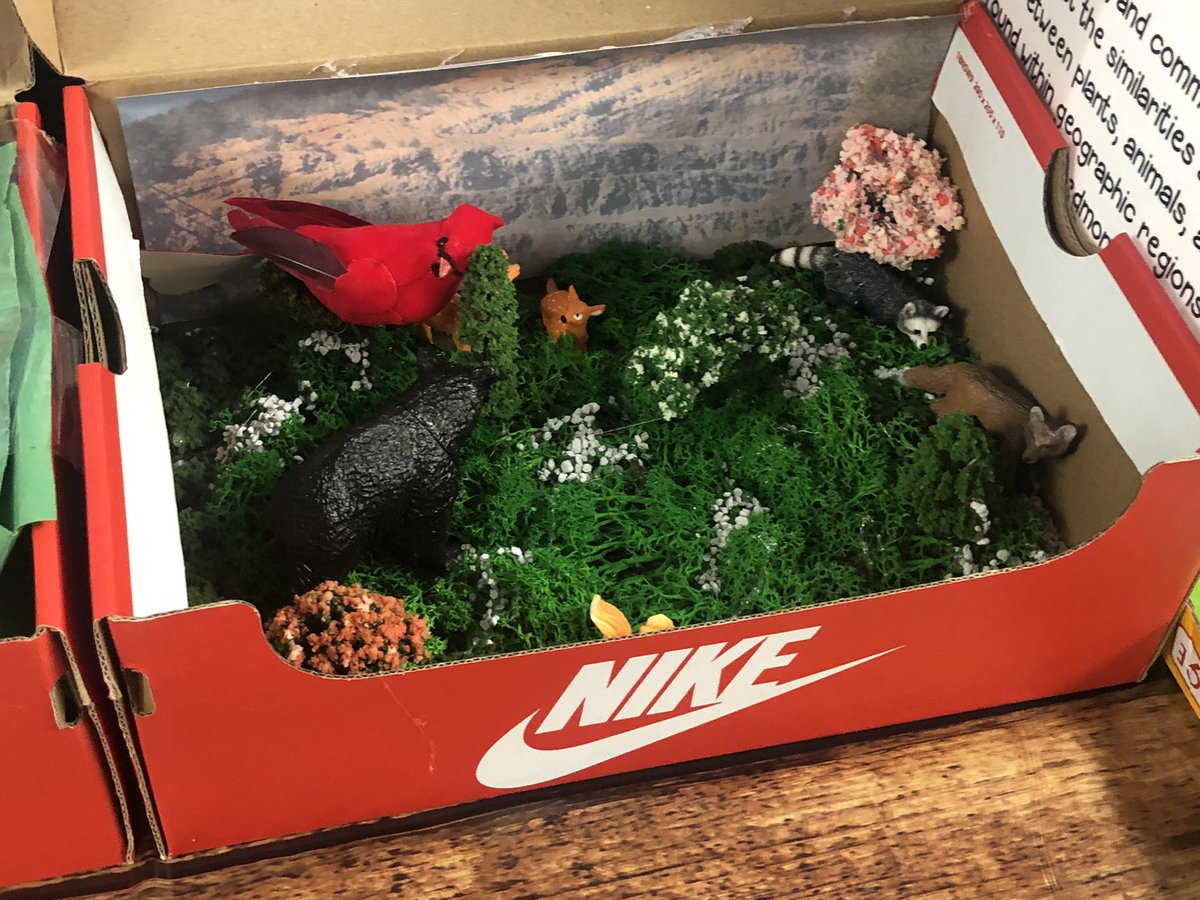 FLE_Explorers's tweet image. ✨Do you know the regions of Georgia? Well, our explorers sure do! 3rd Grade is making great progress as they study the regions of Georgia! Check out their dioramas and the excellent work that they’ve submitted thus far. #dreambelieveachieve #ProjectBasedLearning