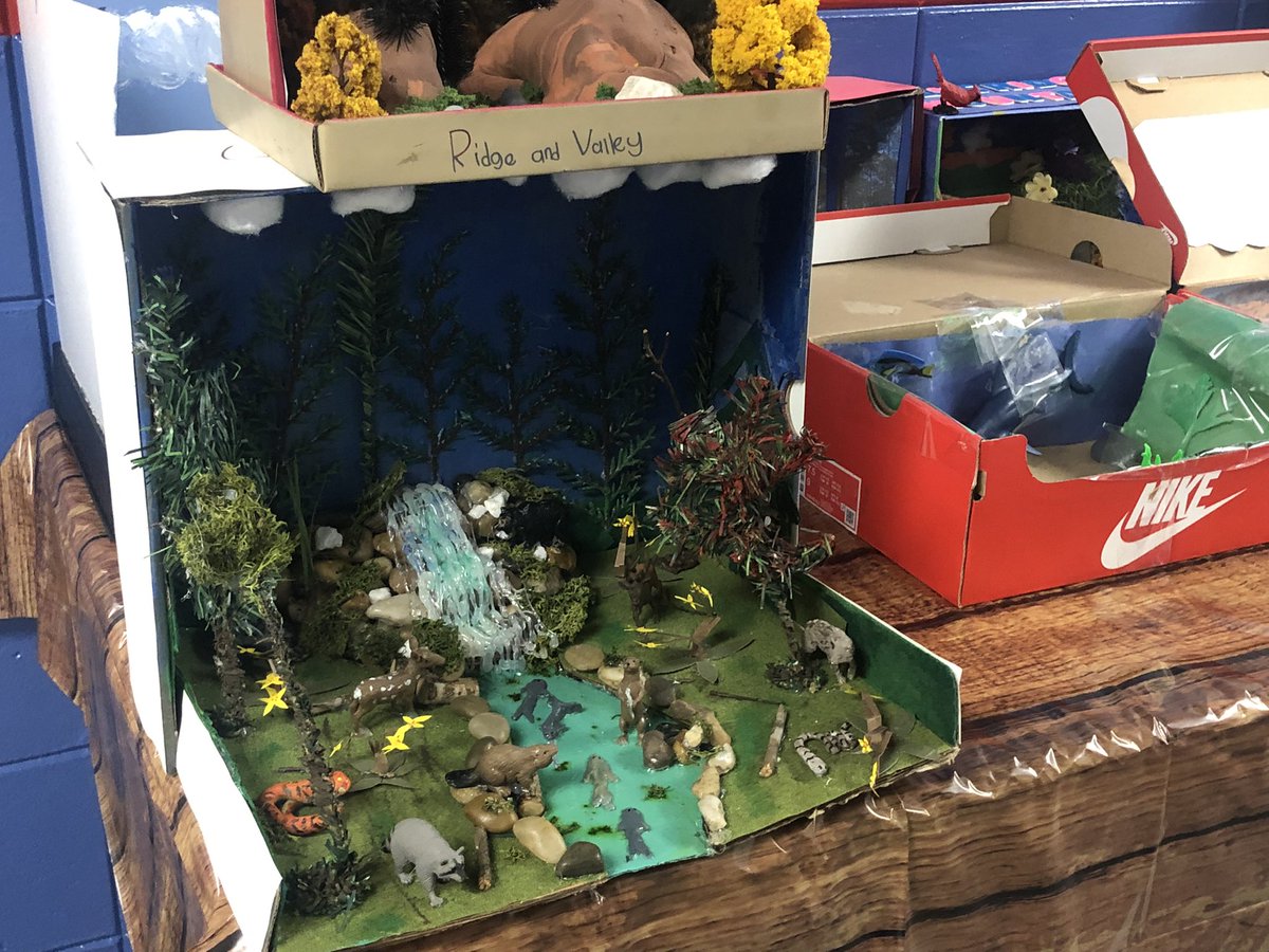 FLE_Explorers's tweet image. ✨Do you know the regions of Georgia? Well, our explorers sure do! 3rd Grade is making great progress as they study the regions of Georgia! Check out their dioramas and the excellent work that they’ve submitted thus far. #dreambelieveachieve #ProjectBasedLearning