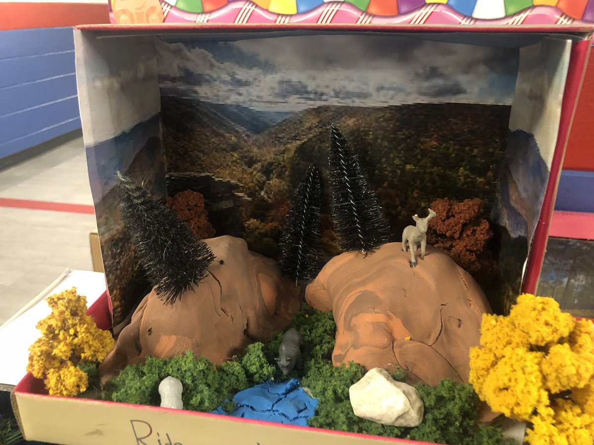 FLE_Explorers's tweet image. ✨Do you know the regions of Georgia? Well, our explorers sure do! 3rd Grade is making great progress as they study the regions of Georgia! Check out their dioramas and the excellent work that they’ve submitted thus far. #dreambelieveachieve #ProjectBasedLearning