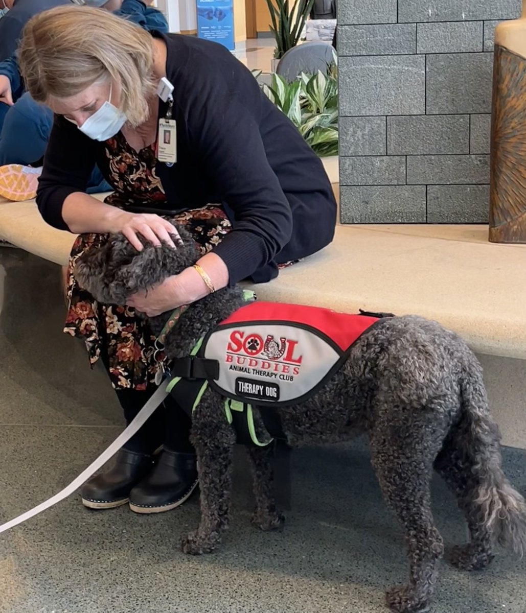 soulharborranch's tweet photo. A wonderful day of Sharing of Unconditional Love with staff at @NorthShoreWeb Glenbrook Hospital, with mini therapy horse Lunar &amp; therapy dog Taylor. We heard all morning long, “Best therapy ever.” We were happy to #getpink for #breastcancerawarenessmonth 💕 @pet_partners https://t.co/6IVsk26jBi