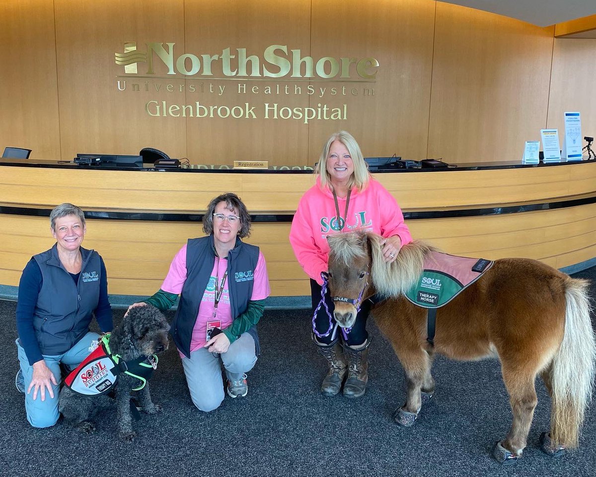 soulharborranch's tweet photo. A wonderful day of Sharing of Unconditional Love with staff at @NorthShoreWeb Glenbrook Hospital, with mini therapy horse Lunar &amp; therapy dog Taylor. We heard all morning long, “Best therapy ever.” We were happy to #getpink for #breastcancerawarenessmonth 💕 @pet_partners https://t.co/6IVsk26jBi