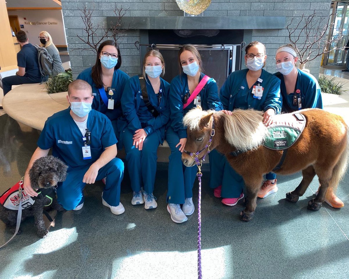 soulharborranch's tweet photo. A wonderful day of Sharing of Unconditional Love with staff at @NorthShoreWeb Glenbrook Hospital, with mini therapy horse Lunar &amp; therapy dog Taylor. We heard all morning long, “Best therapy ever.” We were happy to #getpink for #breastcancerawarenessmonth 💕 @pet_partners https://t.co/6IVsk26jBi