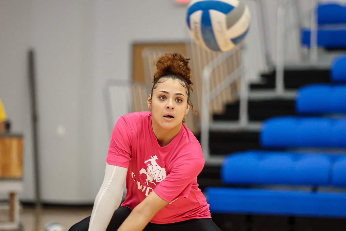 McNeese Volleyball tweet media