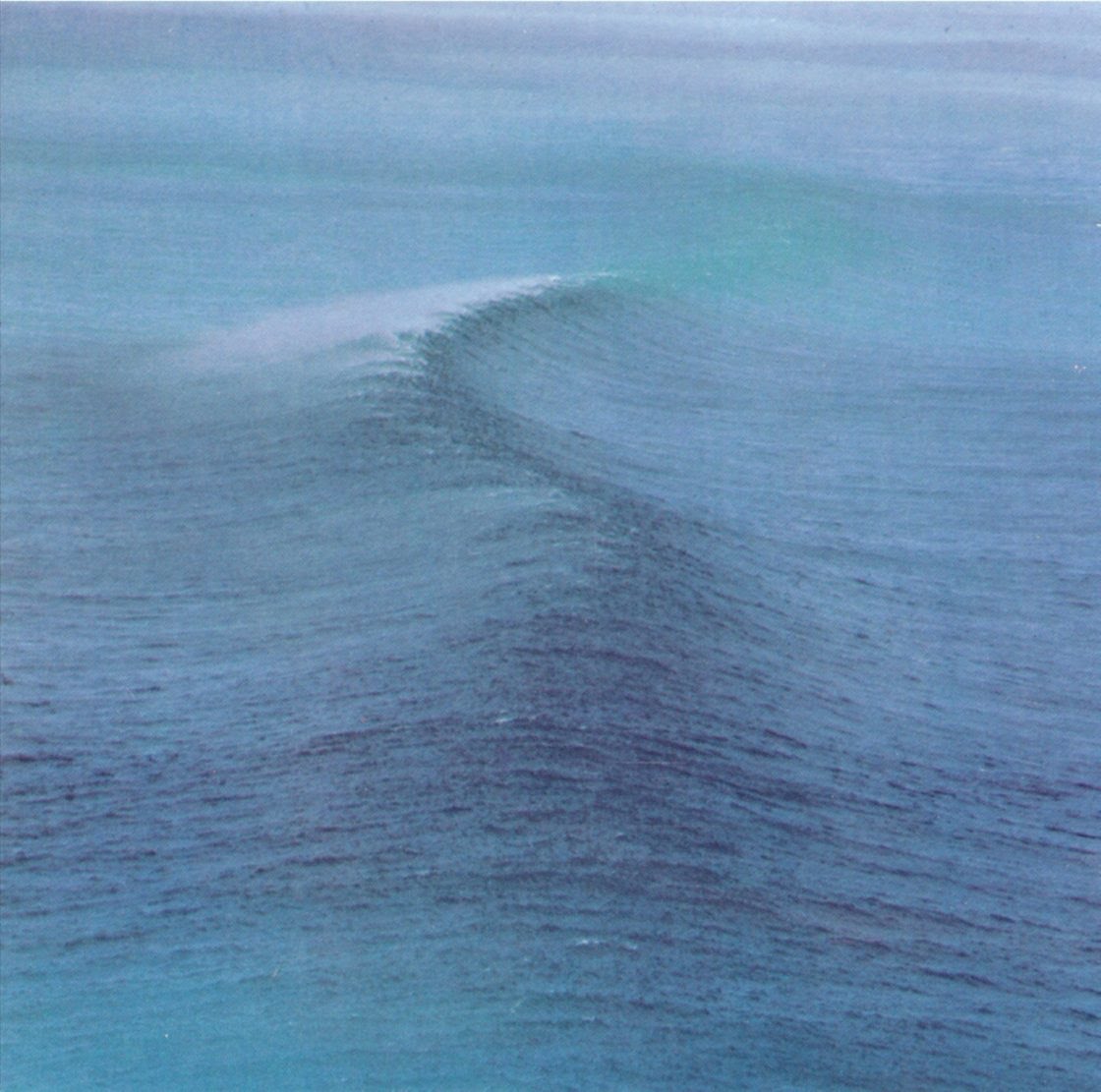 uncleblacko's tweet photo. @LlSTENlNG_PARTY @AlbumDayUK It's probably Unknown Pleasures. It might be The Stone Roses. But then it could very well be Ride / Nowhere 🌊 https://t.co/3qoSZWWYHS