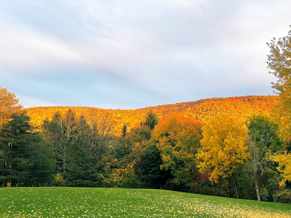 Caitlin Cook ( ️, ️) on Twitter: "More upstate New York porn for your feed"