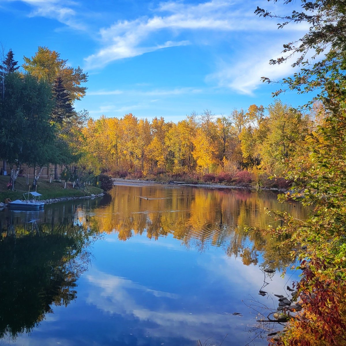 BadWeatherKyle's tweet photo. Lovely evening along the Elbow River in Calgary! #yyc https://t.co/zCEJycizeR