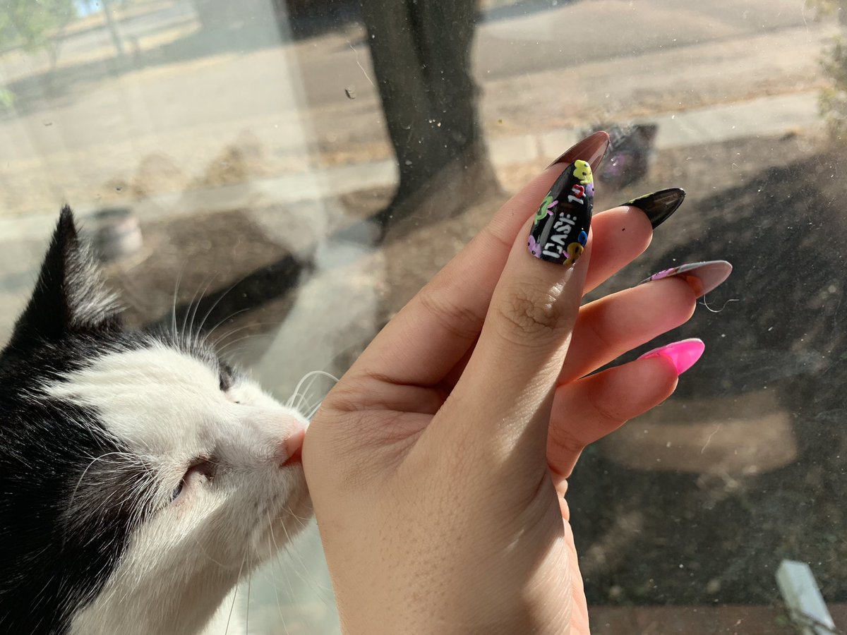 KPhongpradith's tweet photo. New Case 143 by stray kids inspired press on nails now available in my shop! #etsy #etsyshop #StrayKids15thWin #straykids #StrayKidsComeback #straykids143 #KPOP #StrayKids14thWin #Straykidsfanart https://t.co/vqPN97Gu27