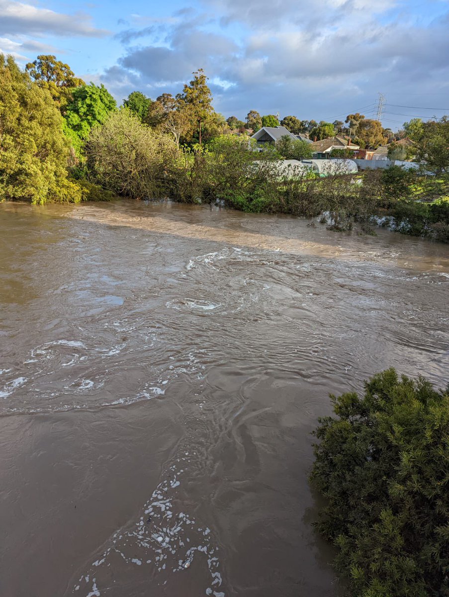 NorthnExposure's tweet photo. A friend sent me these pics of Merri Creek this morning https://t.co/89YS12Ozhf