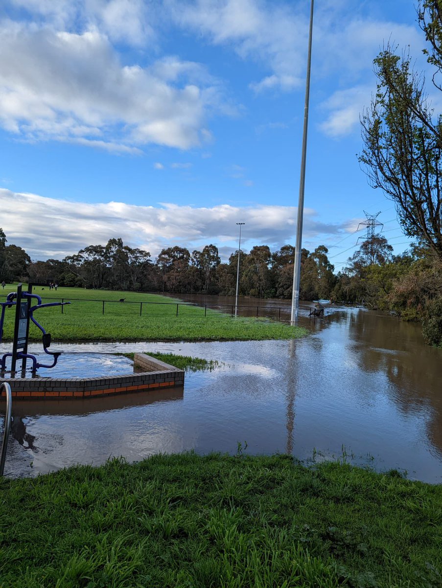 NorthnExposure's tweet photo. A friend sent me these pics of Merri Creek this morning https://t.co/89YS12Ozhf