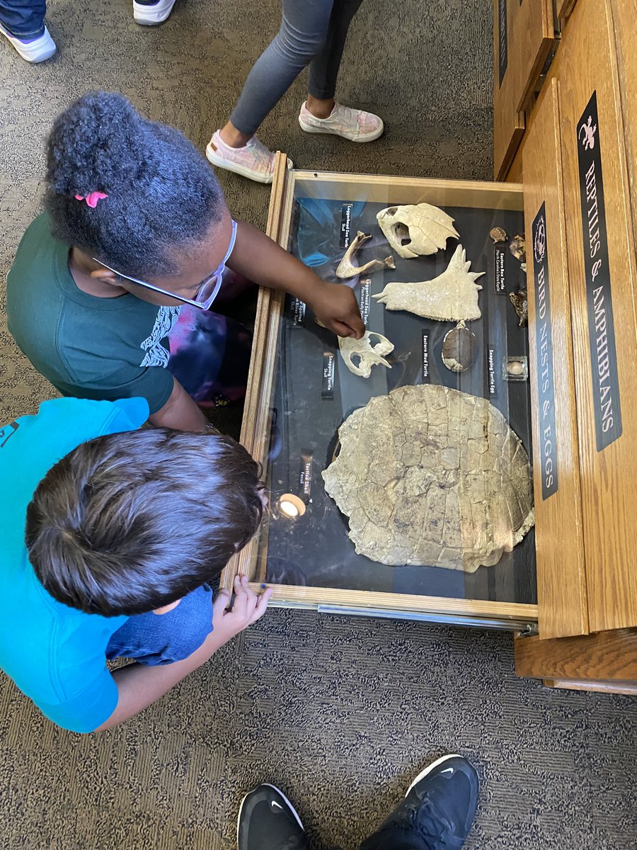 MrU_2ndGrade's tweet photo. Loved our first field trip of the year to the Catawba Science Center!! We got to check out the planetarium, conduct some experiments, and hang out with some dinosaurs! @claremont_elem #nobeariers https://t.co/9OGnGs0eby