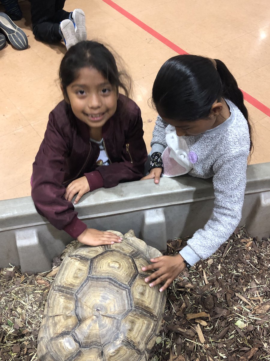 Nikki Wallingford tweet media