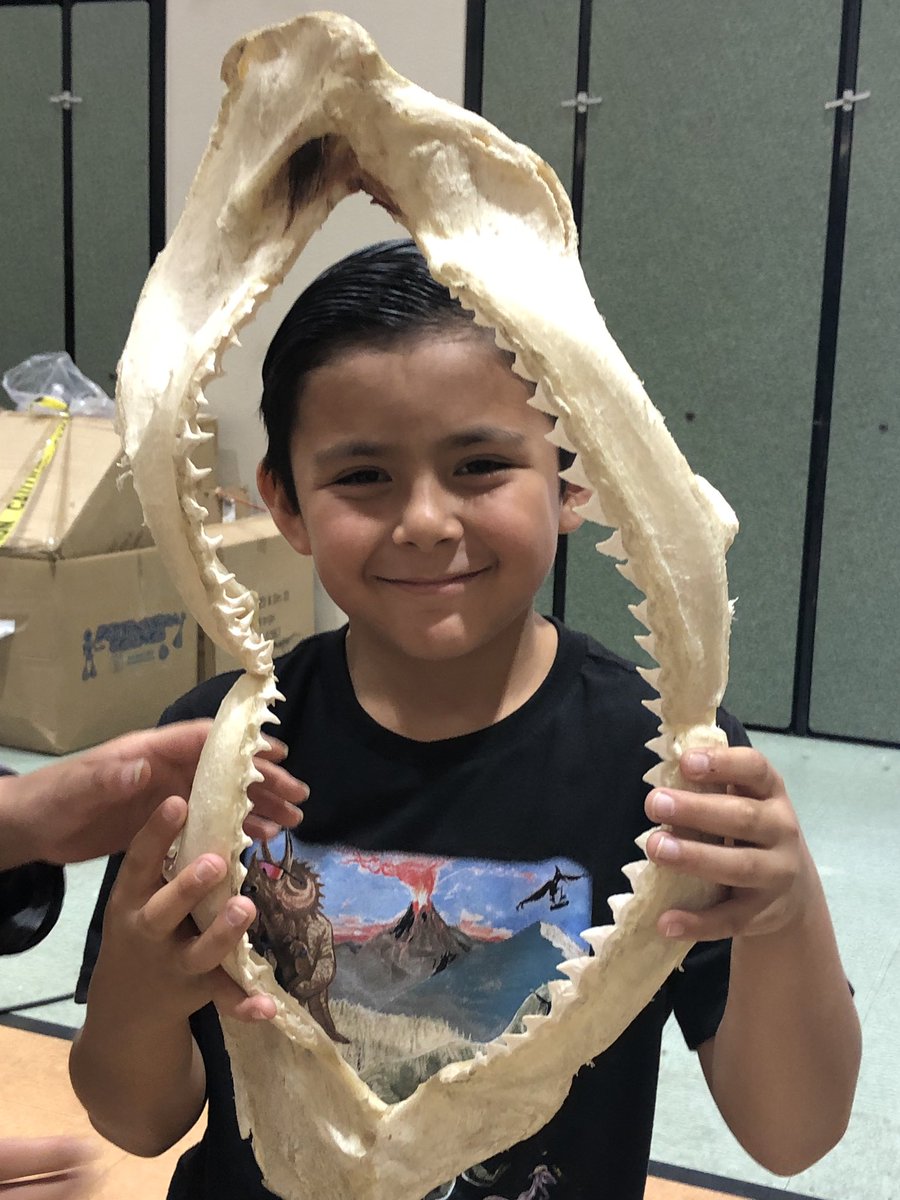 Nikki Wallingford tweet media