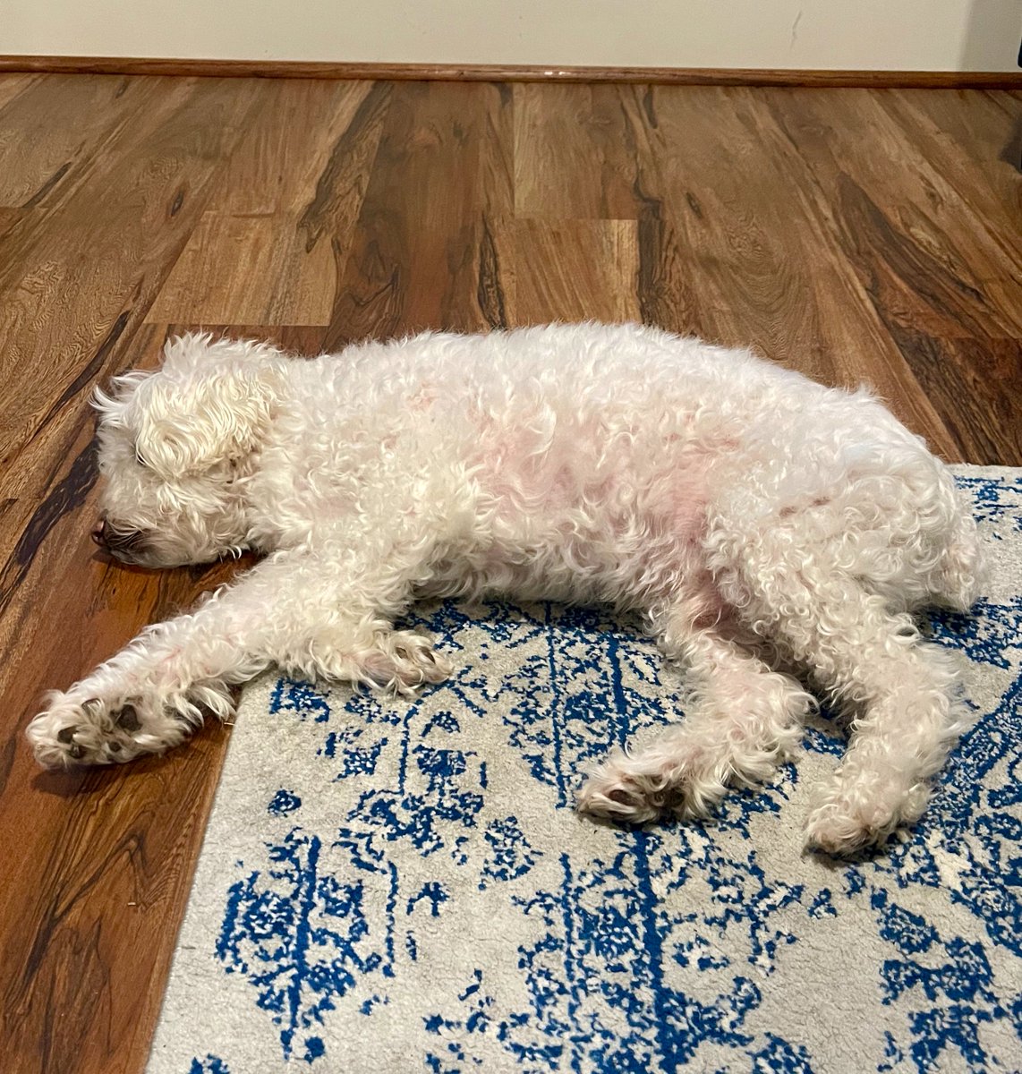 9094Podcast's tweet photo. It's exhausting being a porn addict... https://t.co/t0OZdlSHor