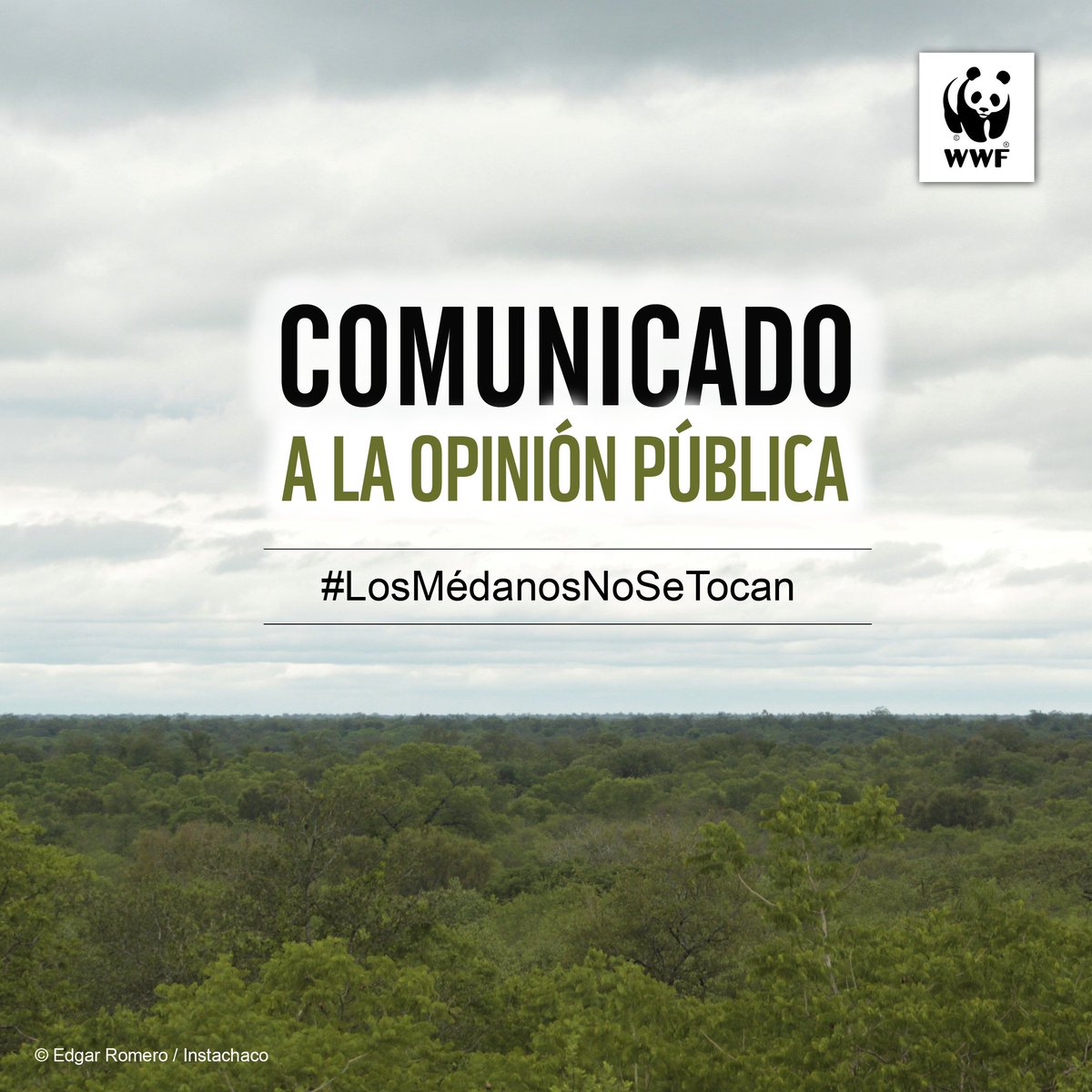 WWF-Paraguay tweet media