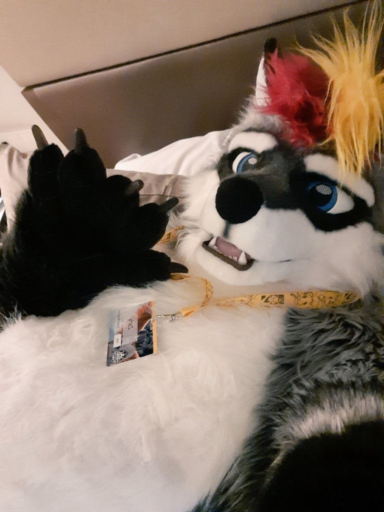 Did I not do a fursuit reveal yet? 👀

Happy #FursuitFriday