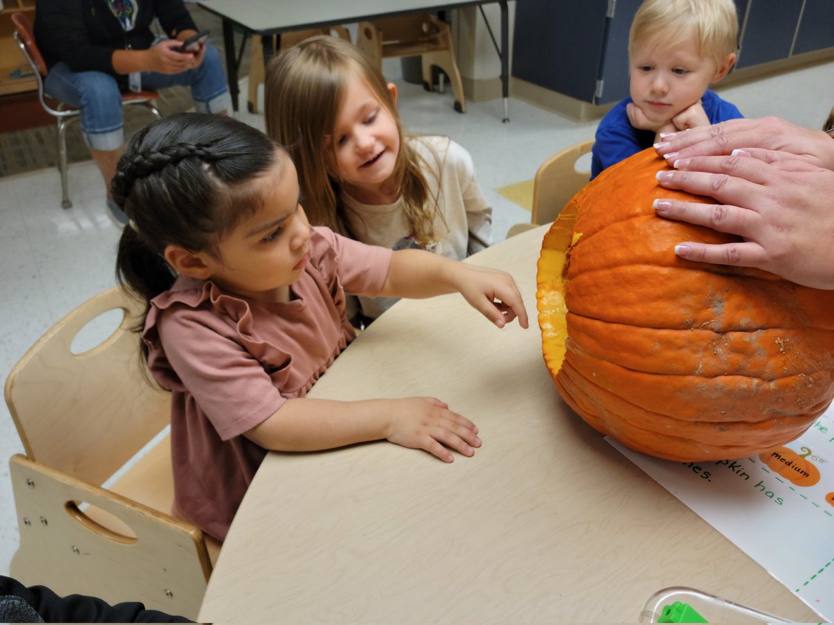 SunsetPreK's tweet photo. The P.M class also got to cut open a pumpkin. We saved some of the seeds so we can plant them on Monday. We will see if we can grow some roots and sprouts like we've been learning about. https://t.co/V8jDHFaZ0y