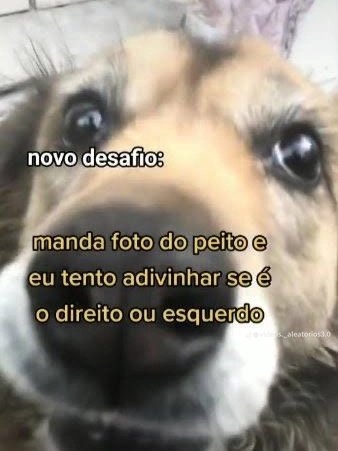 amantedepeit's tweet photo. Novo desafio https://t.co/GPC3CGaqFf