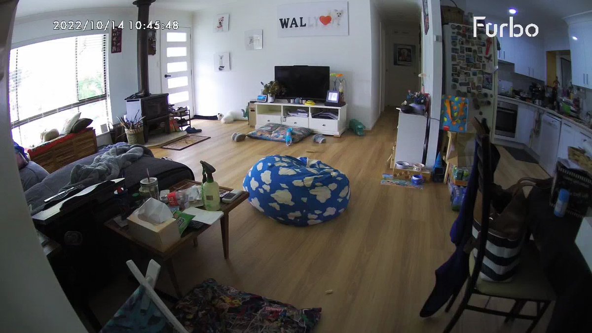 jodadi_o's tweet image. At #CopyCon2022 and checking in on the boss at home not working at all…well neighbourhood watch 😂❤️