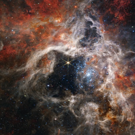 🕷️ If you're afraid of spiders, this nebula might not be for you. 😉 Check out this image of the Tarantula Nebula! 🕸It's a star-forming region, located in the Large Magellanic Cloud galaxy about 161,000 light years away. [ 📷 : NASA, ESA, CSA, STScI, Webb ERO Production Team ]